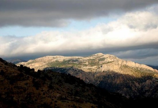Cerro del buitre